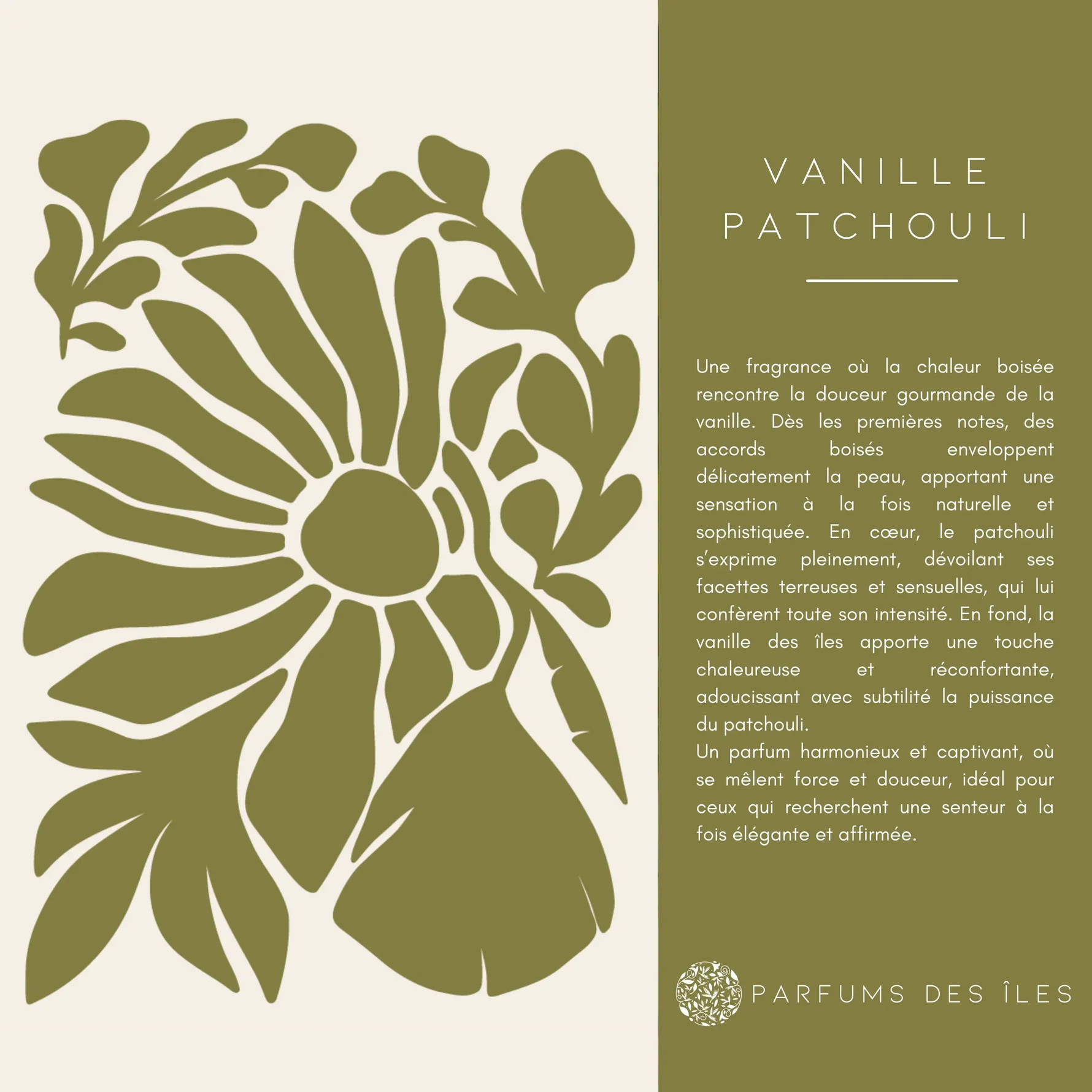 patchouli 3